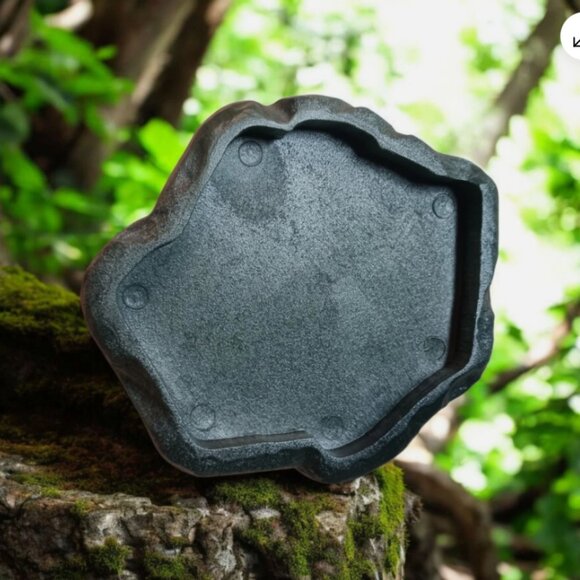 Reptile Food Water Bowl Plate Gecko Feeder Bearded Dragon Feeding Color Green - Picture 3 of 9